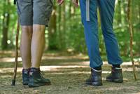 Zwei Personen pilgern durch einen lichtdurchfluteten Wald
